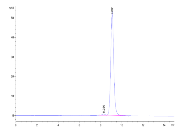 HPLC of Biotinylated Human HLA-A*11:01&B2M&HPV16 E7 (IVCPICSQK) Monomer 2161