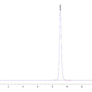 HPLC of Human HLA-A*11:01&B2M&HPV16 E7 (IVCPICSQK) Monomer Protein 2162