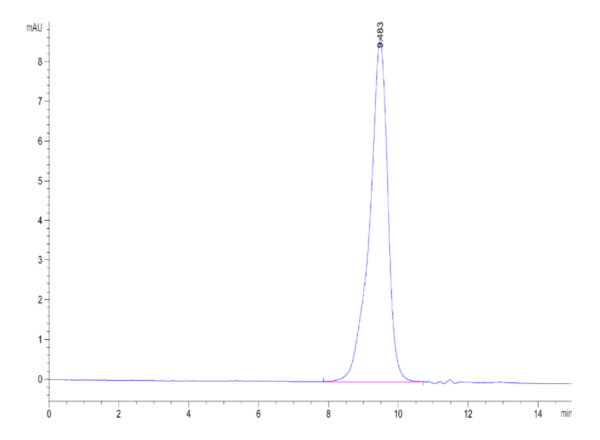 HPLC of Human ALK-7 Protein 2167