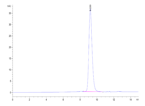 HPLC of Biotinylated Mouse Fc gamma RIII/CD16 Protein 2171