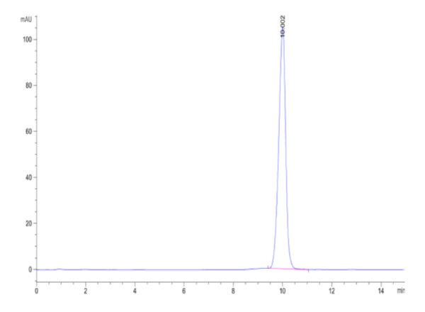 HPLC of Mouse IL-1 alpha/IL-1A Protein 2177