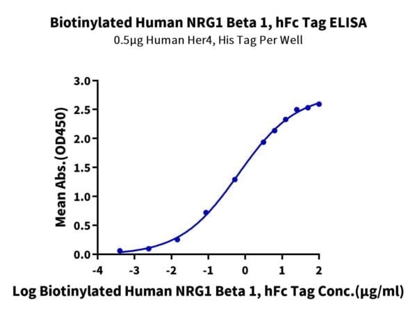 ELISA with Biotinylated Human NRG1 Beta 1 Protein (Primary Amine Labeli 2178