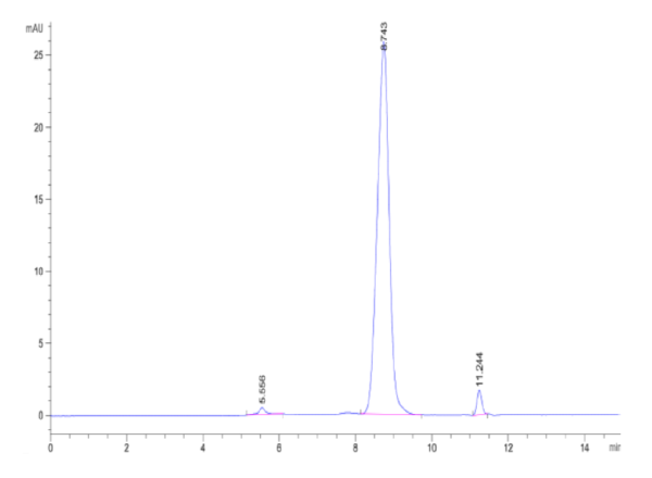 HPLC of Biotinylated Human NRG1 Beta 1 Protein (Primary Amine Labeling) 2178