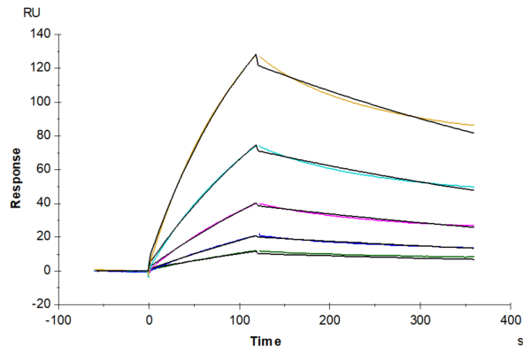 SPR with Human IL-1 alpha/IL-1A Protein 2180