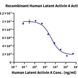 Cell based assay with Human Latent Activin A Protein 2183