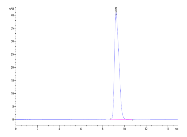 HPLC of Human HLA-A*03:01&B2M&gp100 (ALLAVGATK) Monomer Protein 2186