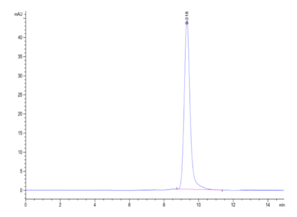 HPLC of Biotinylated Human HLA-A*03:01&B2M&KRAS G12V (VVGAVGVGK) Monome 2199