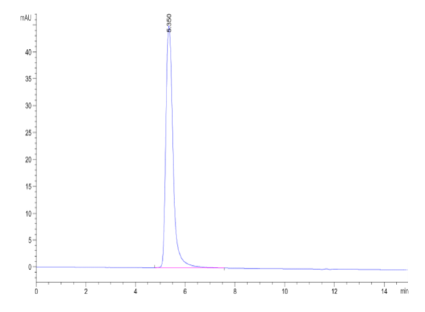 HPLC of Human CEACAM-7 Protein 2207