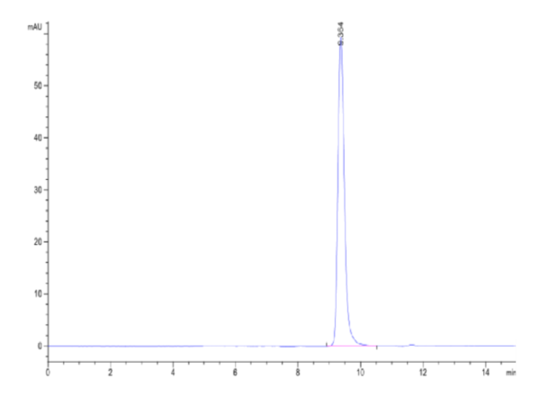 HPLC of Biotinylated Human HLA-A*02:01&B2M&MAGE-A2 (KMVELVHFL) Monomer  2217