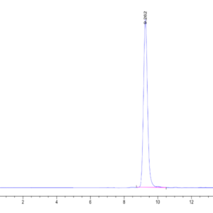 HPLC of Human HLA-A*03:01&B2M&KRAS G12V (VVGAVGVGK) Monomer Protein 2225