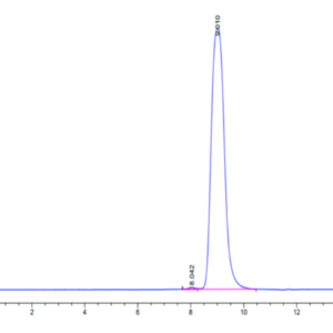 HPLC of Human CEACAM-5/CD66e (323-500) Protein 2228