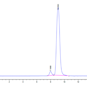 HPLC of Human CEACAM-5/CD66e (145-322) Protein 2229