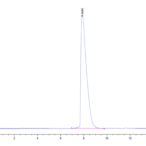 HPLC of Mouse CD229/SLAMF3 Protein 2232