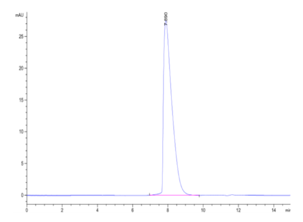 HPLC of Mouse CD229/SLAMF3 Protein 2232