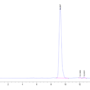 HPLC of Human HLA-A*02:01&B2M&CMV pp65 (NLVPMVATV) Tetramer Protein 2243