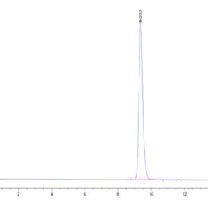 HPLC of Human HLA-A*02:01&B2M&CMV pp65 (NLVPMVATV) Monomer Protein 2245