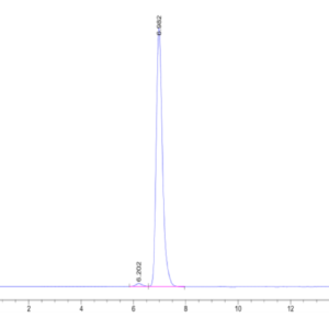 HPLC of Human HLA-A*02:01&B2M&MAGE-A10 (GLYDGMEHL) Tetramer Protein 2246