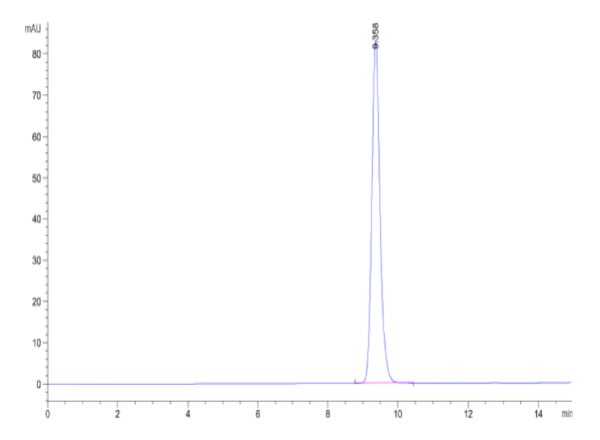 HPLC of Biotinylated Human HLA-A*02:01&B2M&MAGE-A10 (GLYDGMEHL) Monomer 2247