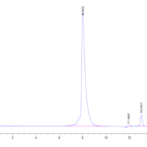 HPLC of Human STAT4 Protein 2248