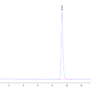 HPLC of Human HLA-A*02:01&B2M&MAGE-A10 (GLYDGMEHL) Monomer Protein 2249