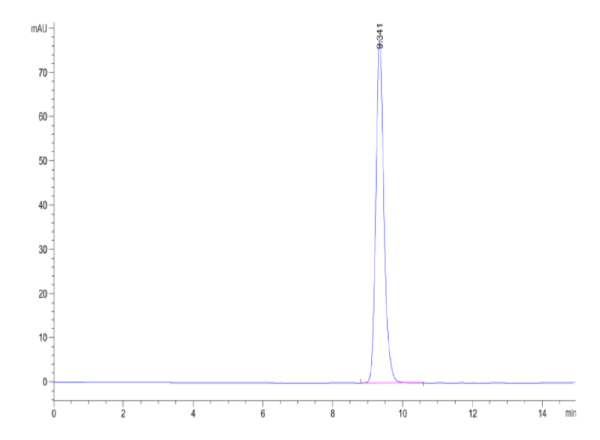 HPLC of Human HLA-A*02:01&B2M&MAGE-A10 (GLYDGMEHL) Monomer Protein 2249