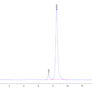 HPLC of Human E-Cadherin/Cadherin-1 Protein 2262