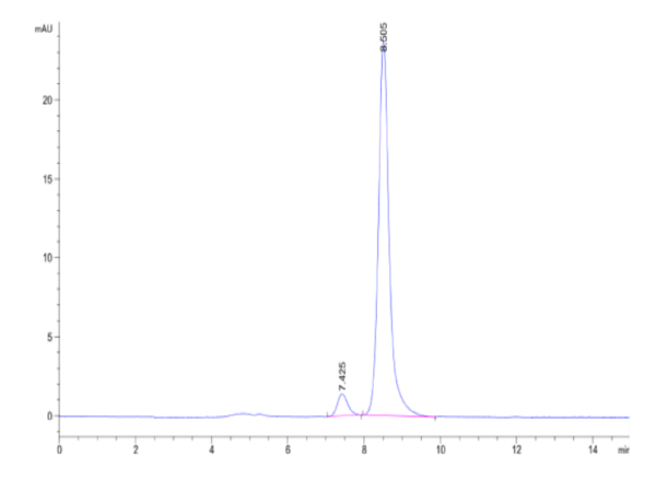 HPLC of Human E-Cadherin/Cadherin-1 Protein 2262