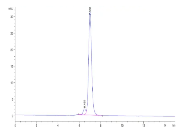 HPLC of Human Integrin alpha V beta 1 (ITGAV&ITGB1) Heterodimer Protein 2275