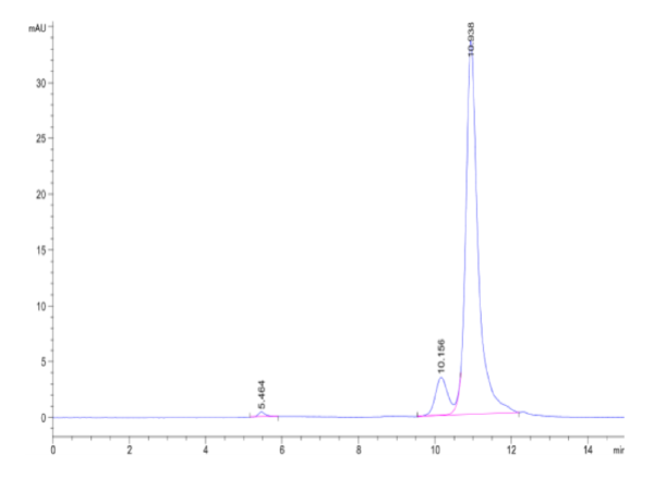 HPLC of Human ITCH Protein 2281