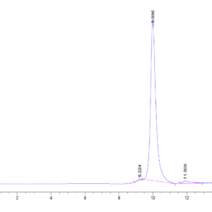 HPLC of Human ERK2 Protein 2286