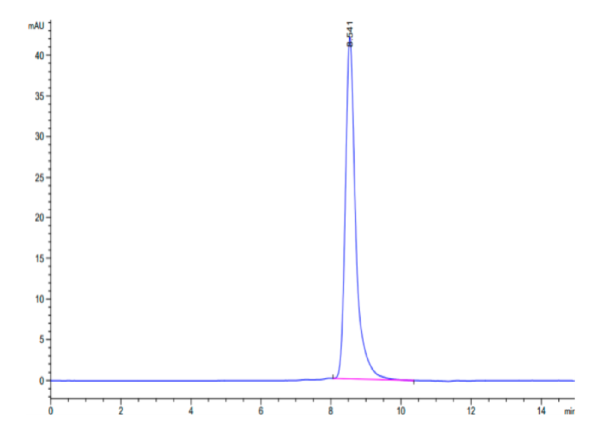 HPLC of Human CEACAM-3 Protein 2287