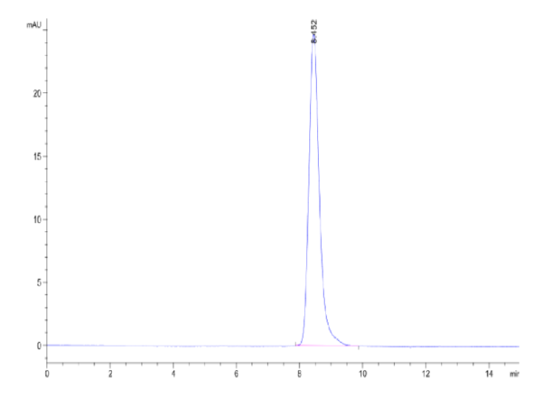 HPLC of Mouse Her2/ErbB2 Protein 2289