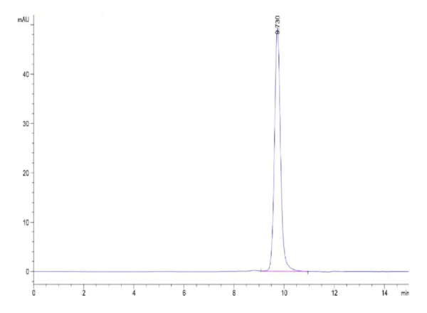 HPLC of Rabbit IgG Protein 2296