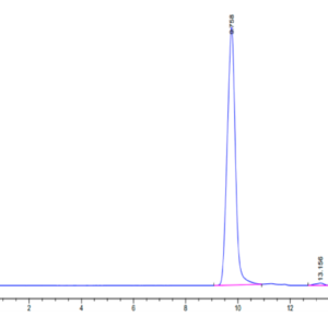HPLC of Human HLA-A*11:01&B2M&KRAS G12V (VVGAVGVGK) Monomer Protein 2302