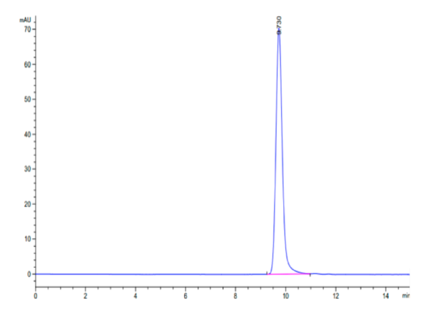 HPLC of Biotinylated Human HLA-A*11:01&B2M&KRAS G12V (VVVGAVGVGK) Monom 2303