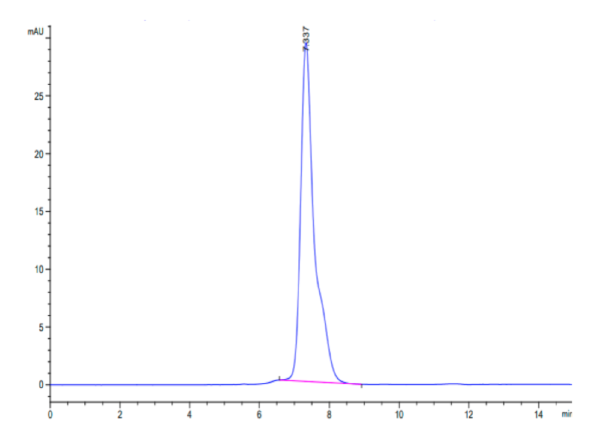 HPLC of Rhesus macaque IL-18 R1/CD218a Protein 2305