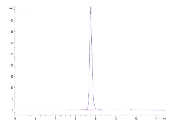 HPLC of Human IL-1 R9 Protein 2311