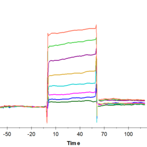 SPR with Human Oncostatin M/OSM Protein 2312
