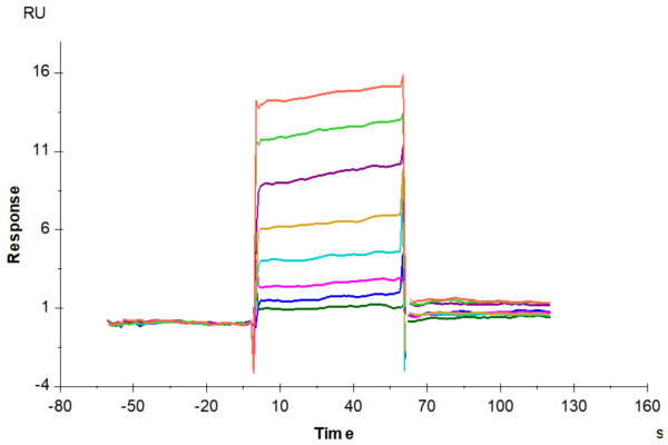 SPR with Human Oncostatin M/OSM Protein 2312