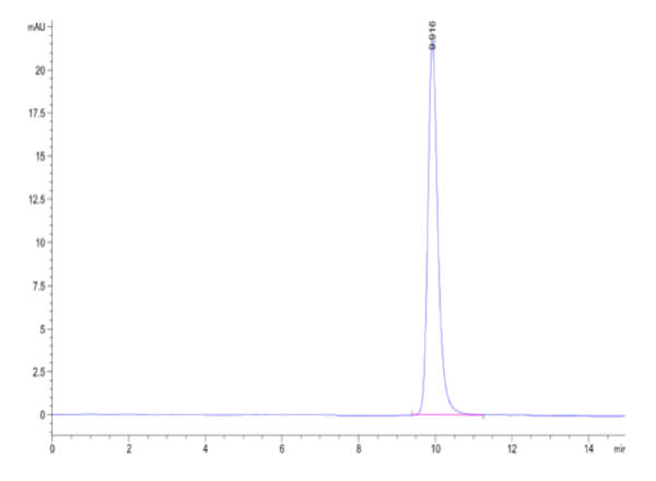 HPLC of Human Oncostatin M/OSM Protein 2312