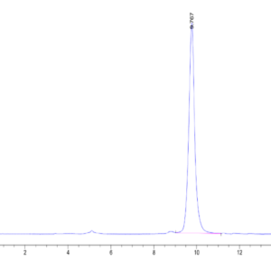 HPLC of Human PRAK Protein 2324