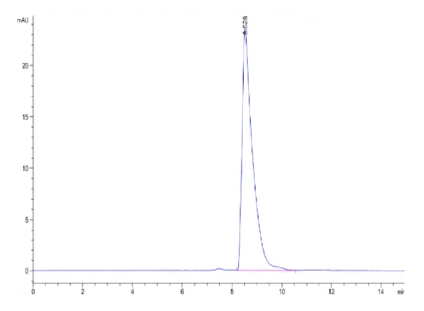 HPLC of Human Nectin-2/CD112 Protein 2331