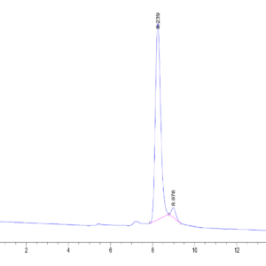 HPLC of Human PAH (D415N) Protein 2333