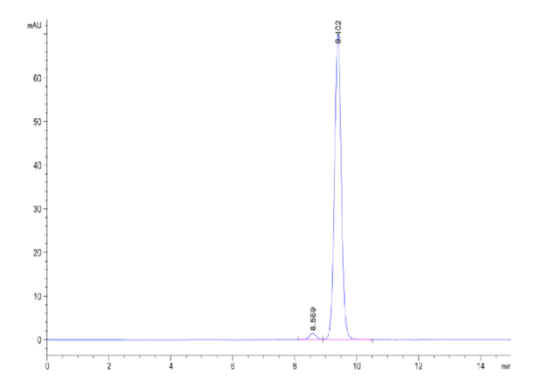 HPLC of Biotinylated Human Peptide Ready HLA-A*24:02&B2M Monomer?Protei 2336