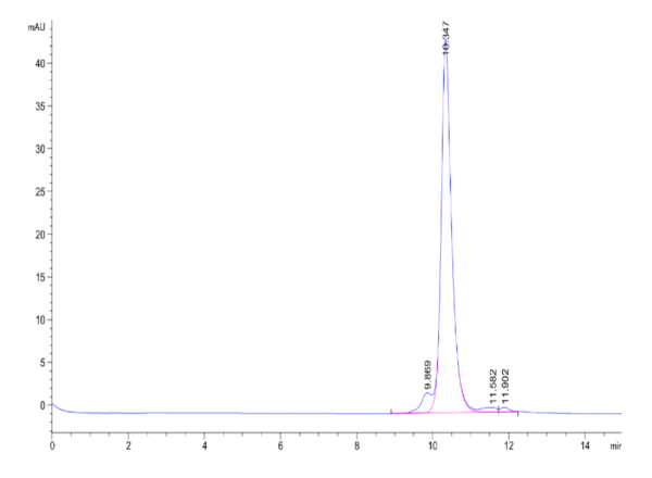 HPLC of Rat PLAU/uPA Protein 2339