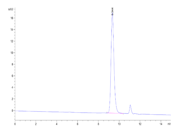 HPLC of Rat PAI-1 Protein 2360