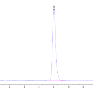 HPLC of Human SIGIRR Protein 2361