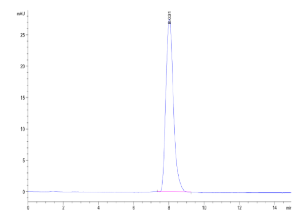 HPLC of Human SIGIRR Protein 2361