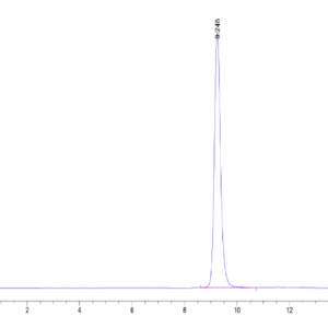 HPLC of Human HLA-B*15:01&B2M&SARS-CoV-2 epitope (NQKLIANQF) Monomer Pr 2363