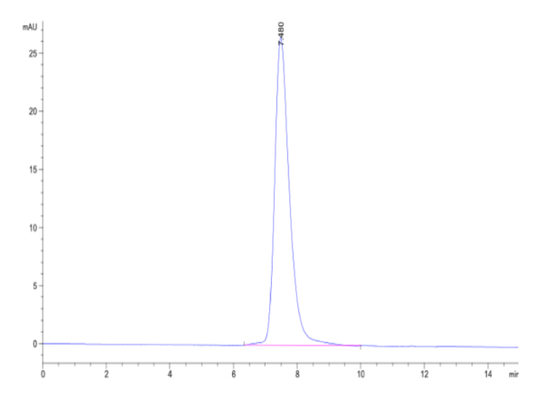 HPLC of Human IL-1RL1/ST2 Protein 2365
